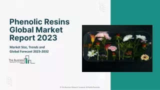 phenolic resins global market report 2023