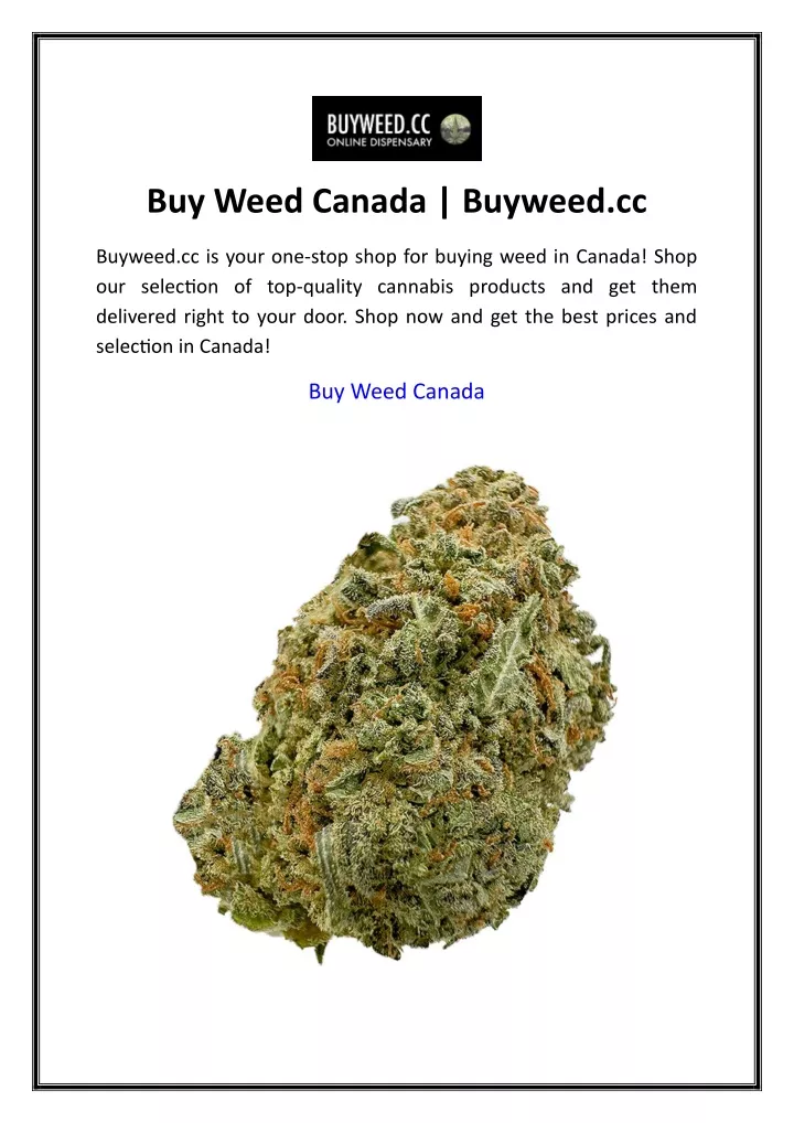 buy weed canada buyweed cc