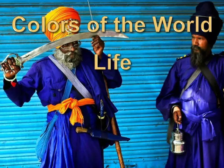 colors of the world life