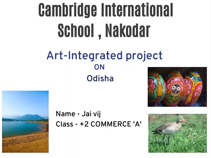 cambridge international school nakodar