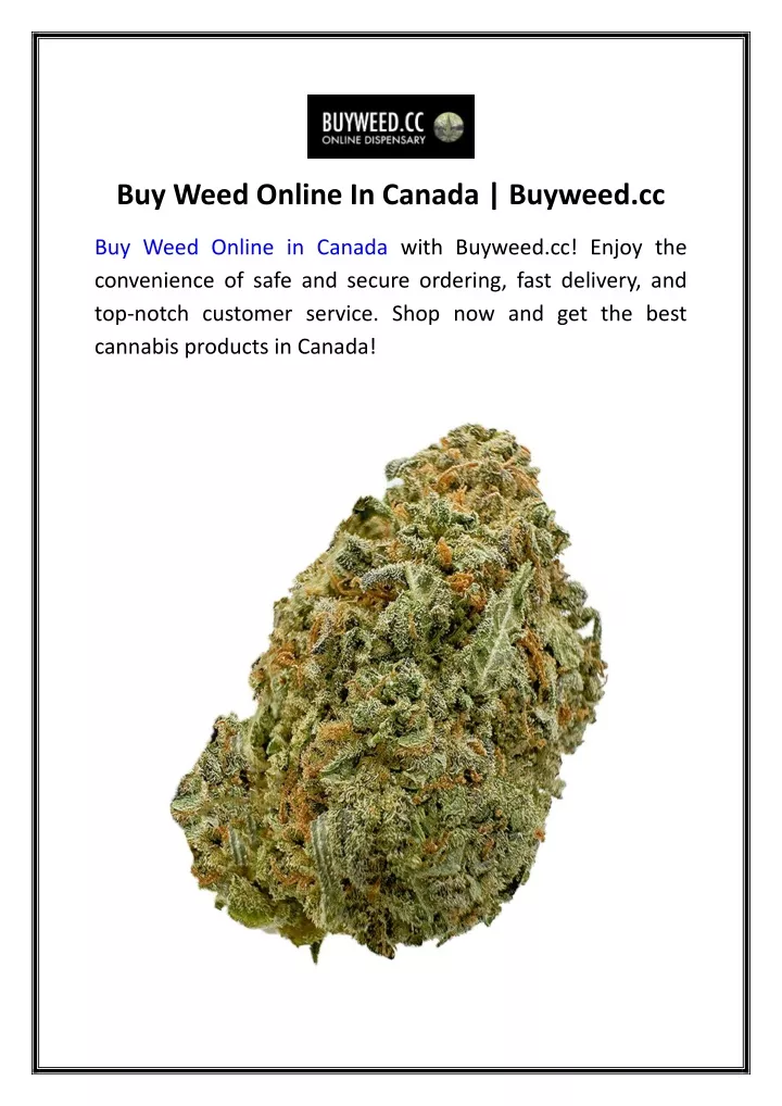 buy weed online in canada buyweed cc