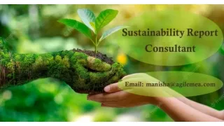 Benefits Organizations get by working with a Sustainability Report Consultant