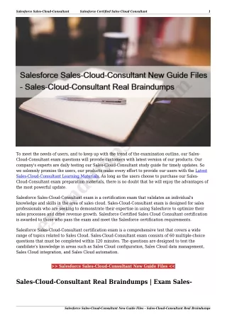 Salesforce Sales-Cloud-Consultant New Guide Files - Sales-Cloud-Consultant Real Braindumps