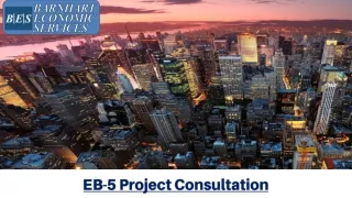 eb 5 project consultation