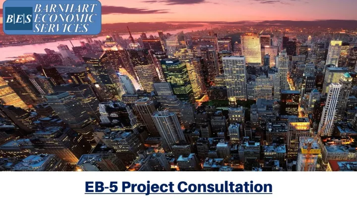 eb 5 project consultation