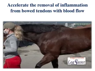 Accelerate the removal of inflammation from bowed tendons with blood flow