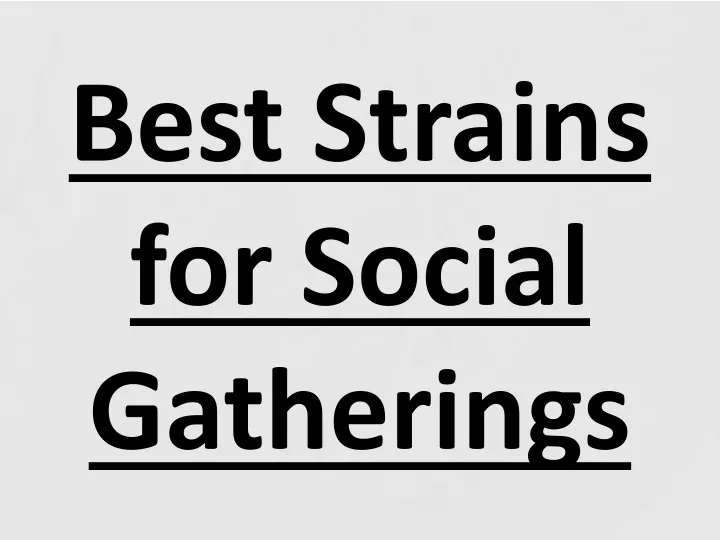 best strains for social gatherings