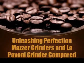 Unleashing Perfection Mazzer Grinders and La Pavoni Grinder Compared