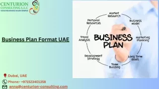 Business Plan Format UAE | Business Plan Format Dubai - Centurion Consulting