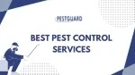 Best Pest Control Services - slide 1