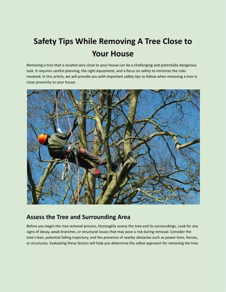 safety tips while removing a tree close to your