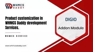 product customization in whmcs daddy development