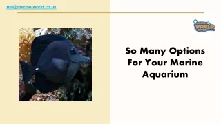 So Many Options For Your Marine Aquarium