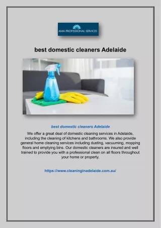best domestic cleaners Adelaide