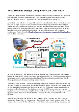 what website design companies can offer you