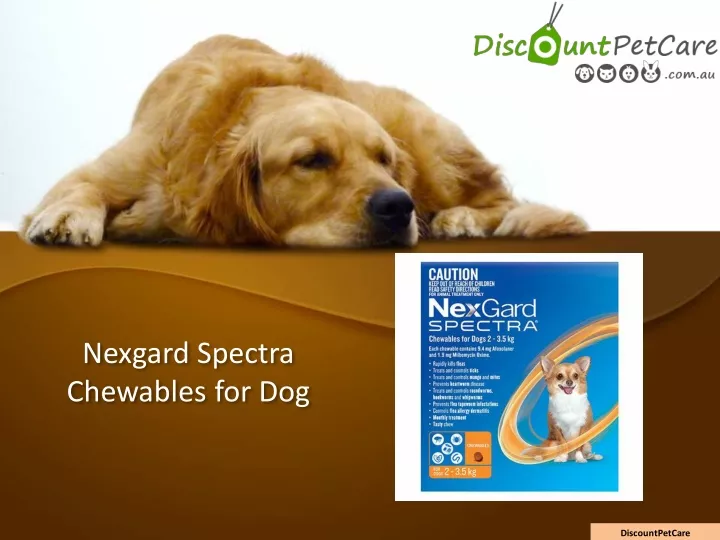nexgard spectra chewables for dog
