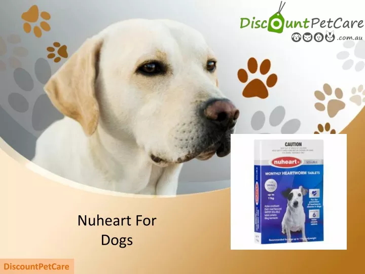 nuheart for dogs
