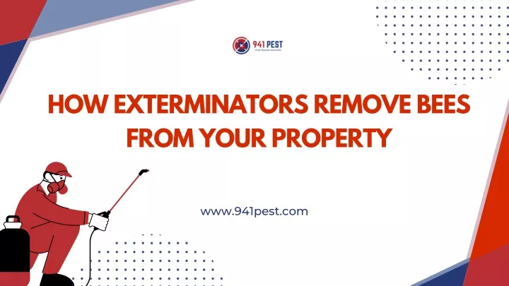 how exterminators remove bees from your property
