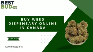Top 10 Weed Dispensary Online in Canada
