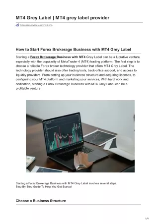 How to Start Forex Brokerage Business with MT4 Grey Label