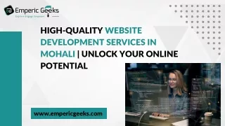 High-Quality Website Development Services in Mohali  Unlock Your Online Potential