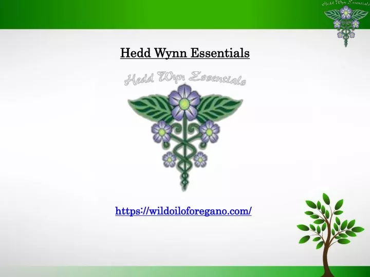 hedd wynn essentials