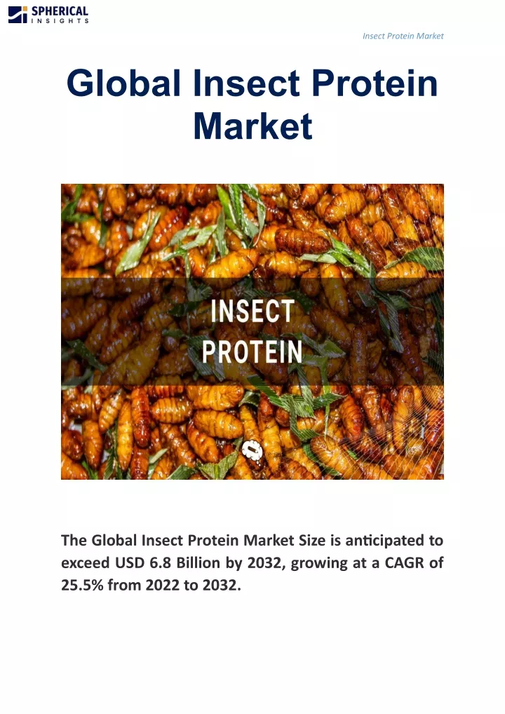 insect protein market