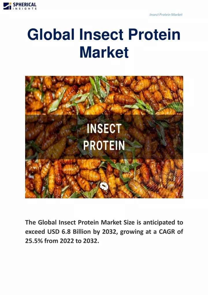 global insect protein market
