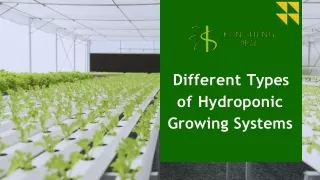 Different Types of Hydroponic Growing Systems (Greenhouse)