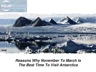 Reasons Why November To March Is The Best Time To Visit Antarctica