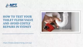How to Test Your Toilet Flush Valve and Avoid Costly Repairs in Sydney