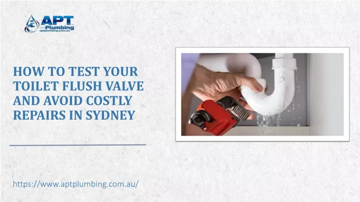 how to test your toilet flush valve and avoid costly repairs in sydney