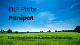 DLF Plots Panipat: Your Dream Investment