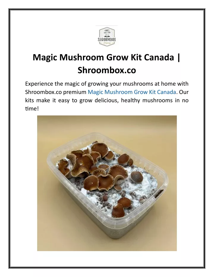 magic mushroom grow kit canada shroombox co