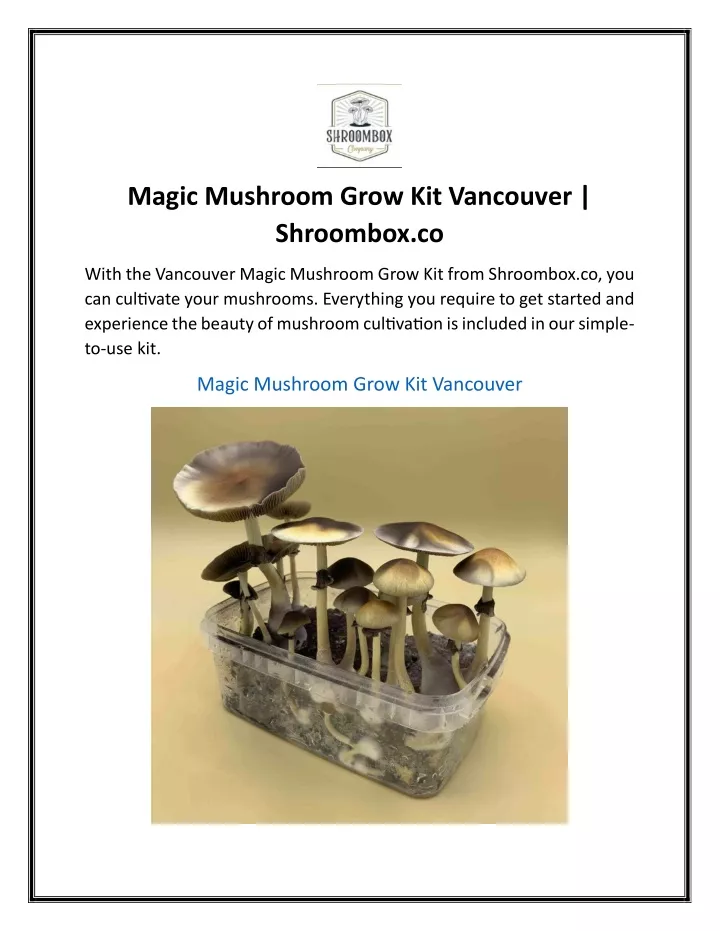 magic mushroom grow kit vancouver shroombox co