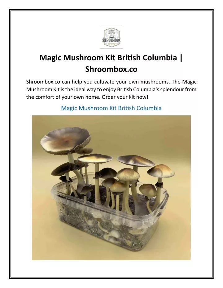 magic mushroom kit british columbia shroombox co