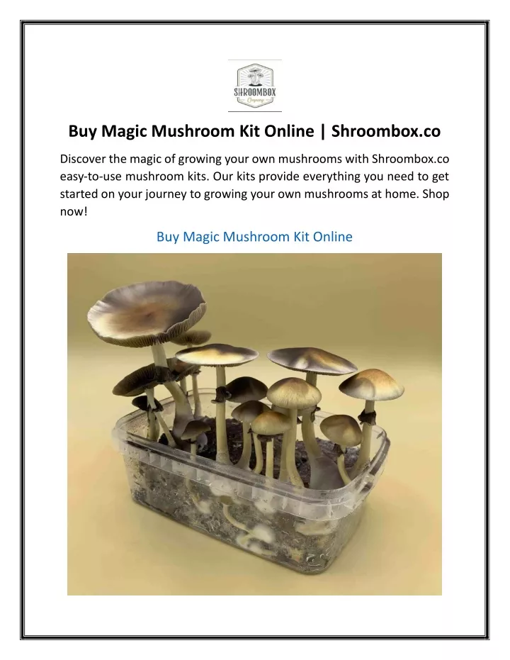 buy magic mushroom kit online shroombox co