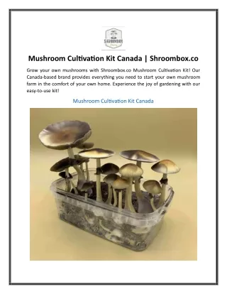 Mushroom Cultivation Kit Canada  Shroombox.co.....