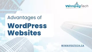 Advantages of WordPress Websites - WinnipegTech