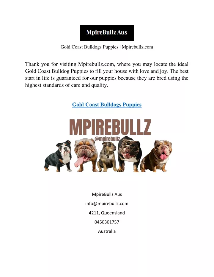 gold coast bulldogs puppies mpirebullz com