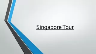 Get the Variety of Choices and Plan the Perfect Singapore Tour