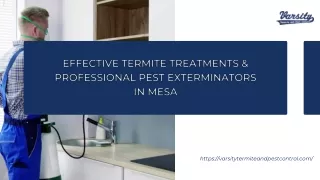 Effective Termite Treatments & Professional Pest Exterminators In Mesa