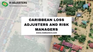 Top Best Loss Adjusters in Saint Kitts & Nevis Islands