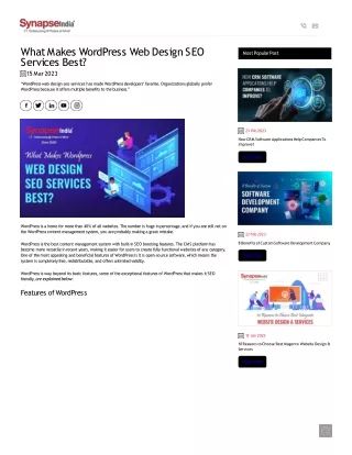 www-synapseindia-com-article-what-makes-wordpress-web-design-seo-services-best