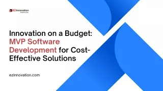Innovation on a Budget: MVP Software Development for Cost-Effective Solutions