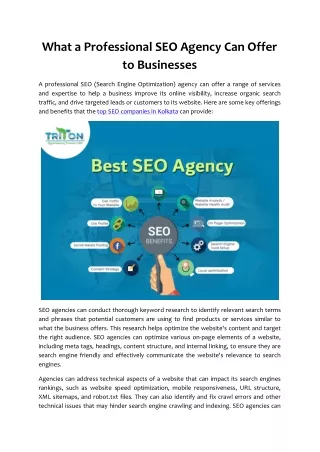What a Professional SEO Agency Can Offer to Businesses