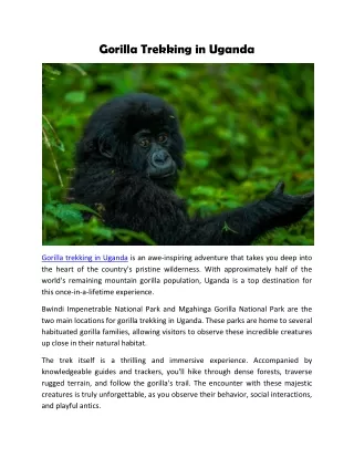 Gorilla Trekking in Uganda