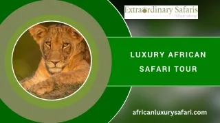 Luxury African Safari Tour