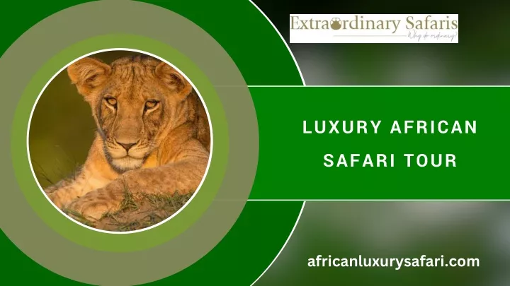 luxury african safari tour