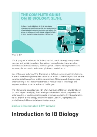 what is ib